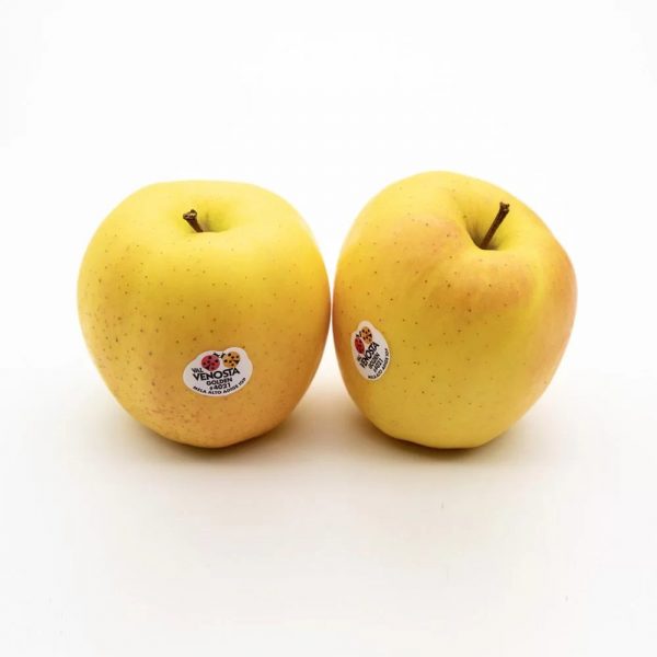 Manzana val venosta