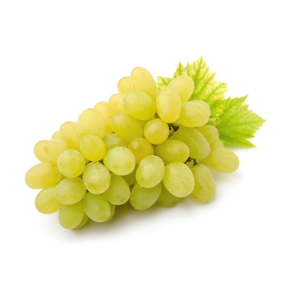 Uvas