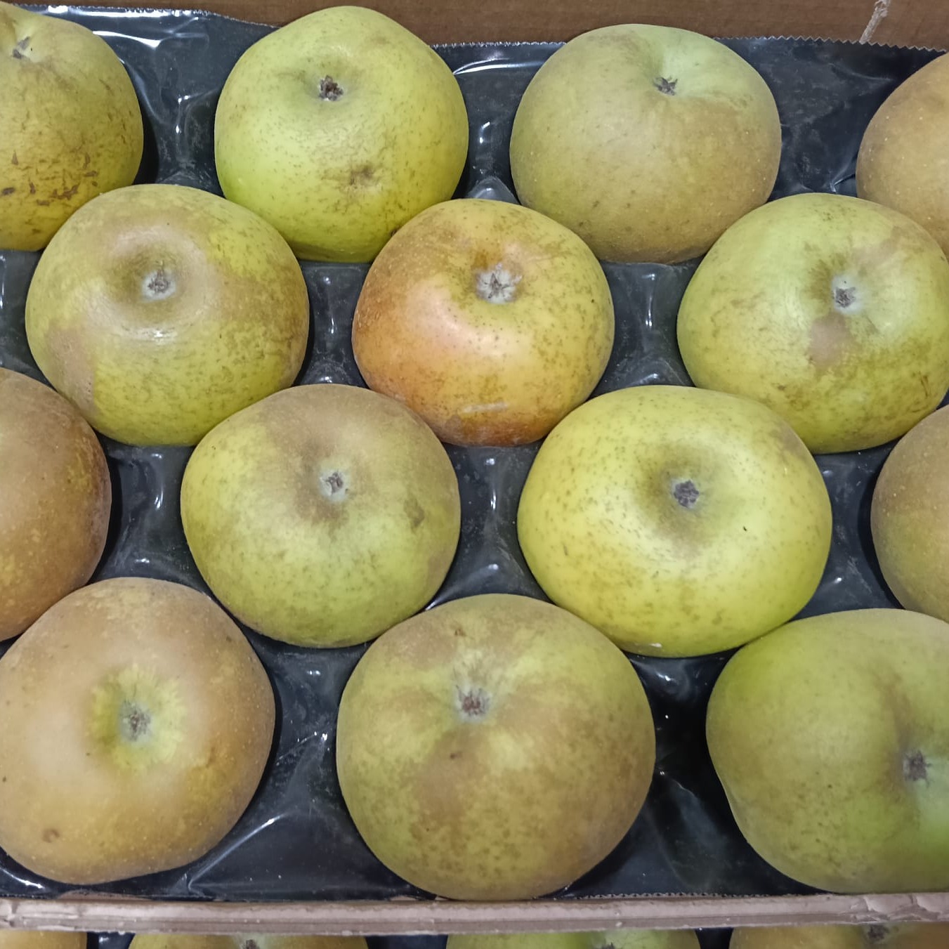 Manzana reineta - Imagen 2