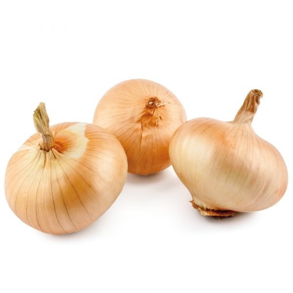 comprar cebolla ducle