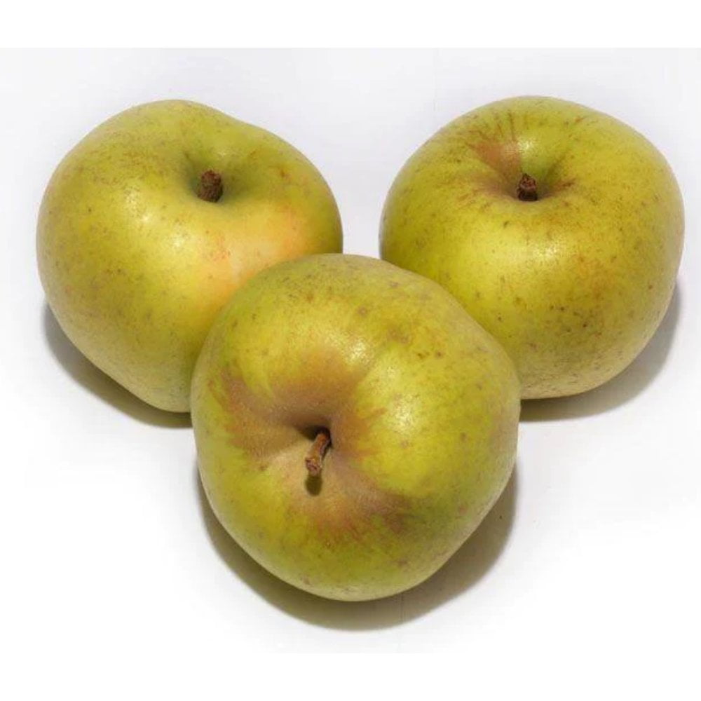 comprar manzana reineta
