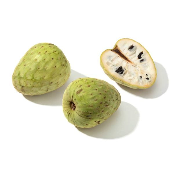 Chirimolla 2