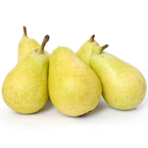 Pera Ercoline