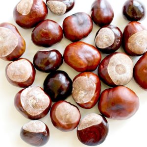 castañas