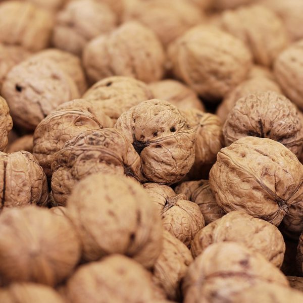 Nueces